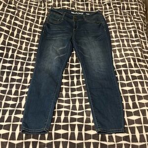 Wallflower Mid Rise Skinny Jeans